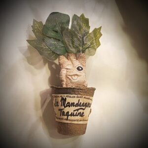 petit pot mandragore taquine