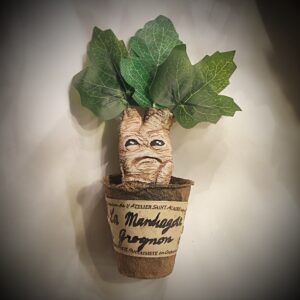 petit pot mandragore grognon