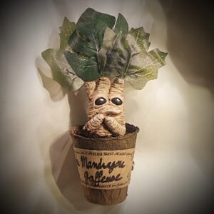 petit pot mandragore gaffeuse