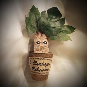 petit pot mandragore malicieuse