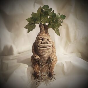 grande mandragore assise satisfaite