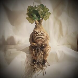 grande mandragore assise grincheuse