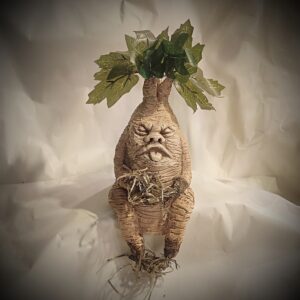 grande mandragore assise effrontée