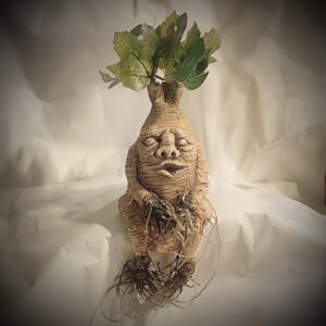 grande mandragore assise pipelette