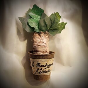 petit pot mandragore rêveuse