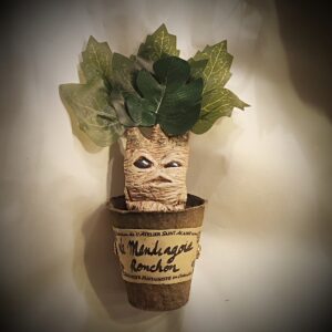 petit pot mandragore ronchon
